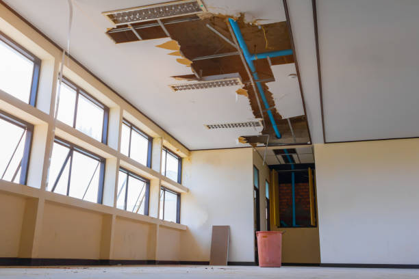 Best Mold removal after water damage  in Lake Orion, MI