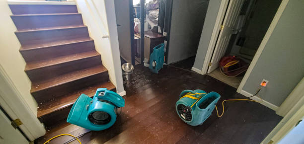Best Emergency water damage restoration  in Lake Orion, MI