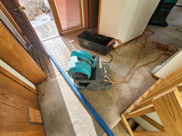 Best Fire Damage Restoration  in Lake Orion, MI