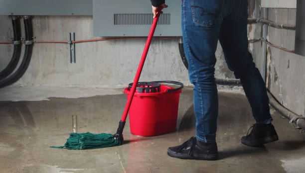 Best Water damage cleanup near me  in Lake Orion, MI