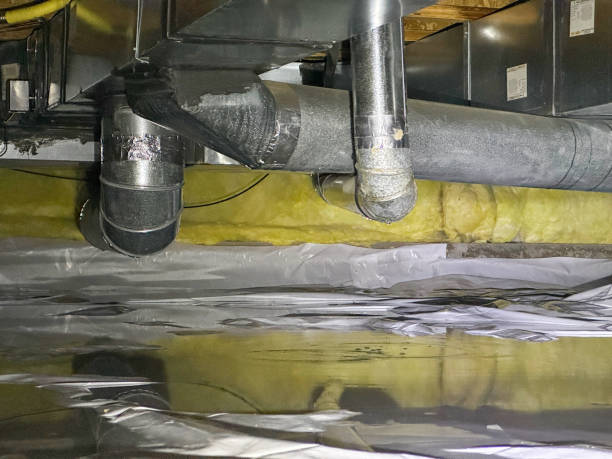 Best Flood damage cleanup  in Lake Orion, MI